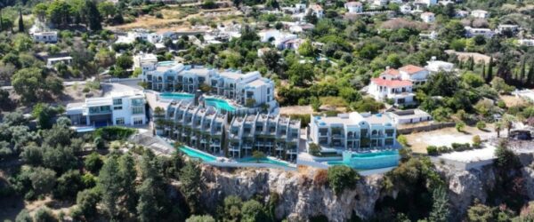 Untitled design - 1 Untitled design - 1